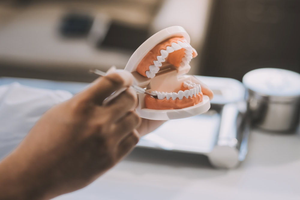 Dentures and Partials: Best Options for Missing Teeth | Fleming Island FL